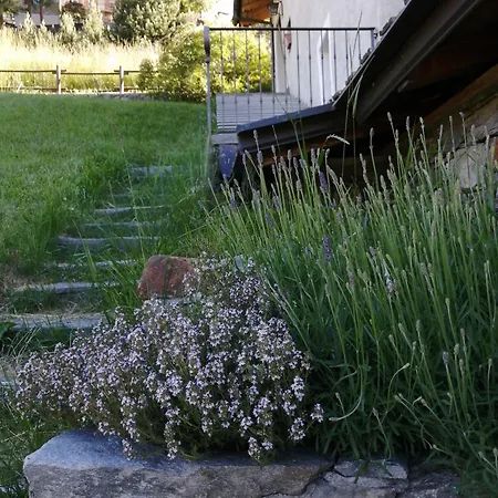 B&B La Thuillettaz Bed & Breakfast Saint-Rhemy-En-Bosses