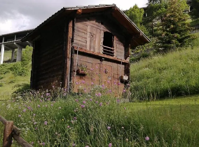 Bed & Breakfast La Thuillettaz Saint-Rhemy-En-Bosses